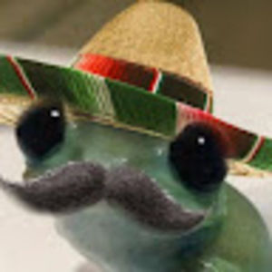 Meet your Posher, Xen-ul-abdeen